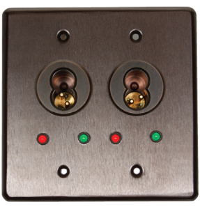 Double Gang Faceplate with double switch